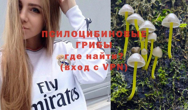 твердый Карталы