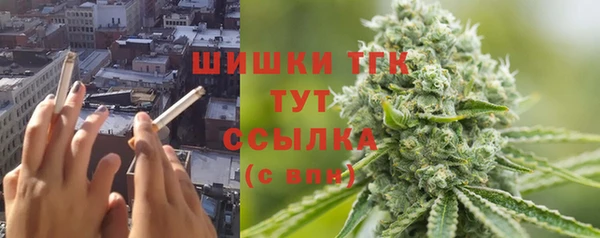 винт Гусиноозёрск