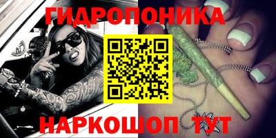 спиды Бийск