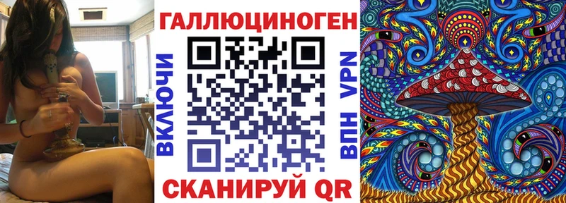 купить Димитровград Галлюциногенные грибы Magic Shrooms