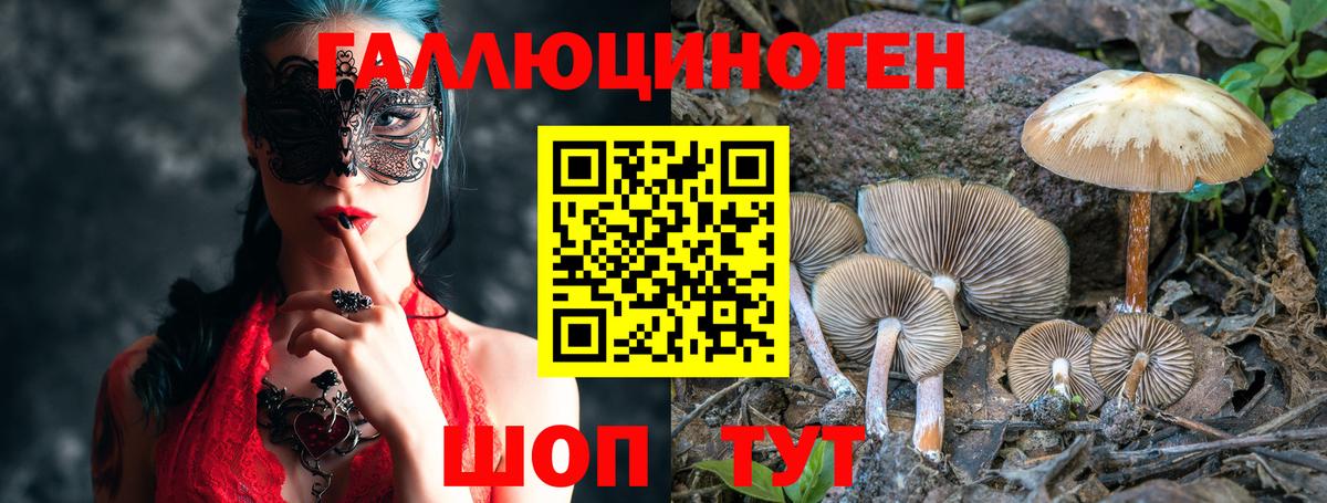 Псилоцибиновые грибы GOLDEN TEACHER Димитровград